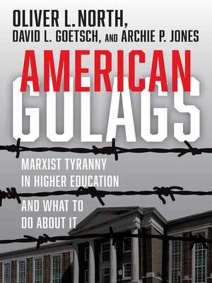 cover image of American Gulags